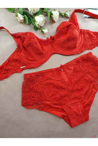 Мереживний комплект з м'якою чашкою Lanny Mode 11467+51467 червоний